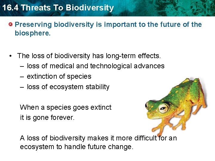 16. 4 Threats To Biodiversity Preserving biodiversity is important to the future of the