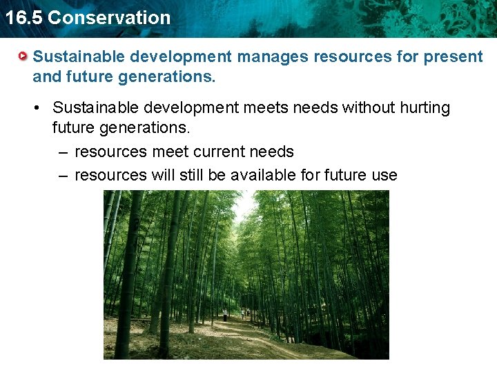 16. 5 Conservation Sustainable development manages resources for present and future generations. • Sustainable