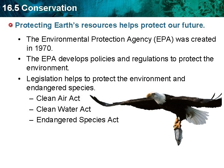 16. 5 Conservation Protecting Earth’s resources helps protect our future. • The Environmental Protection