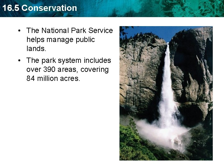 16. 5 Conservation • The National Park Service helps manage public lands. • The