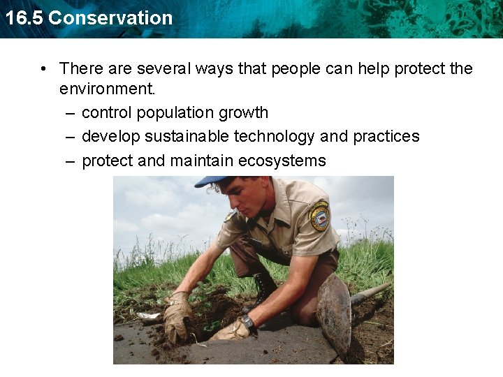 16. 5 Conservation • There are several ways that people can help protect the
