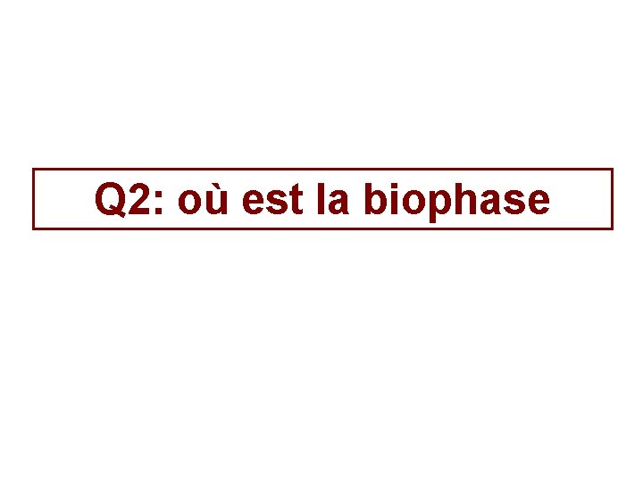 Q 2: où est la biophase 