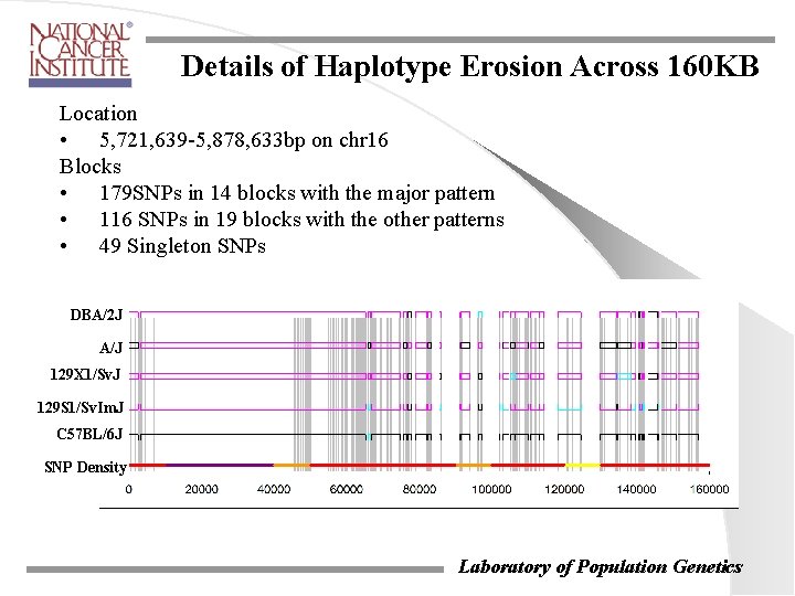 Details of Haplotype Erosion Across 160 KB Location • 5, 721, 639 -5, 878, Details of Haplotype Erosion Across 160 KB Location • 5, 721, 639 -5, 878,