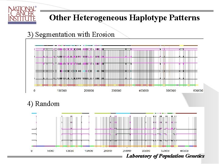 Other Heterogeneous Haplotype Patterns 3) Segmentation with Erosion 4) Random Laboratory of Population Genetics Other Heterogeneous Haplotype Patterns 3) Segmentation with Erosion 4) Random Laboratory of Population Genetics