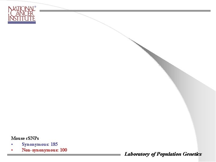 Mouse c. SNPs • Synonymous: 185 • Non-synonymous: 100 Laboratory of Population Genetics Mouse c. SNPs • Synonymous: 185 • Non-synonymous: 100 Laboratory of Population Genetics
