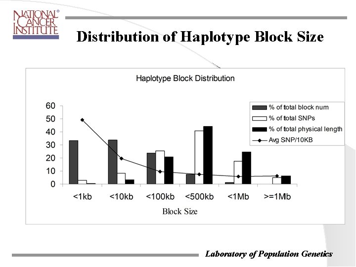 Distribution of Haplotype Block Size Laboratory of Population Genetics Distribution of Haplotype Block Size Laboratory of Population Genetics