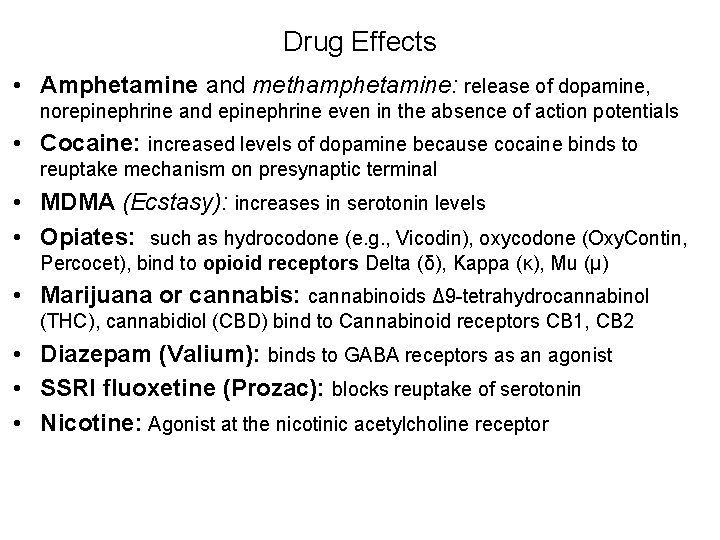 Drug Effects • Amphetamine and methamphetamine: release of dopamine, norepinephrine and epinephrine even in