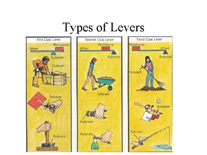 Types of Levers 