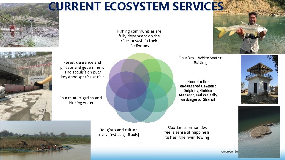 CURRENT ECOSYSTEM SERVICES Fishing communities are fully dependent on the river to sustain their