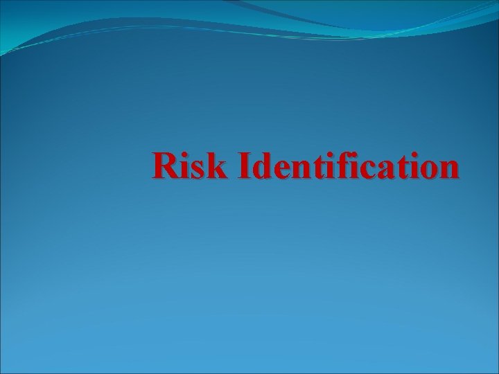 Risk Identification 