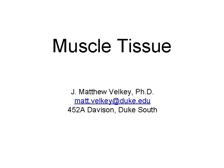Muscle Tissue J. Matthew Velkey, Ph. D. matt. velkey@duke. edu 452 A Davison, Duke