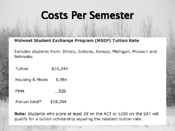 Minnesota State University Moorhead Address 1104 7 Th