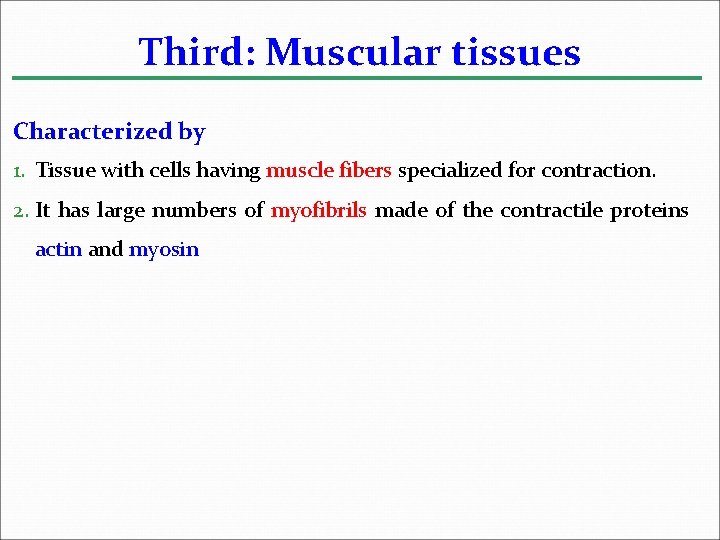 Third: Muscular tissues Characterized by 1. Tissue with cells having muscle fibers specialized for