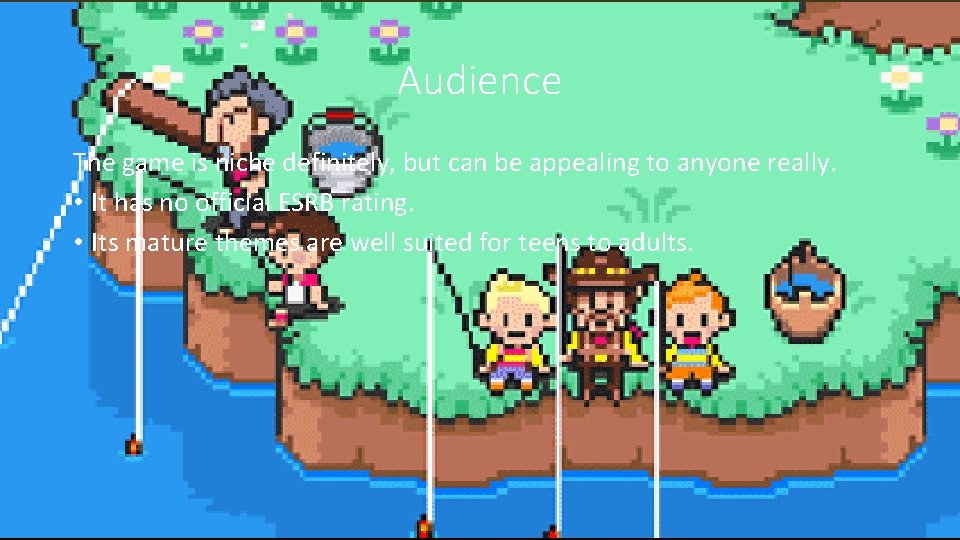 Audience The game is niche definitely, but can be appealing to anyone really. • Audience The game is niche definitely, but can be appealing to anyone really. •