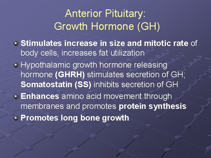 Anterior Pituitary: Growth Hormone (GH) Stimulates increase in size and mitotic rate of body