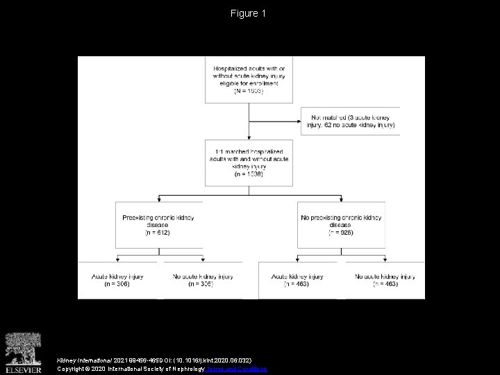 Figure 1 Kidney International 2021 99456 -465 DOI: (10. 1016/j. kint. 2020. 06. 032)