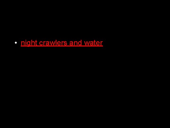  • night crawlers and water 