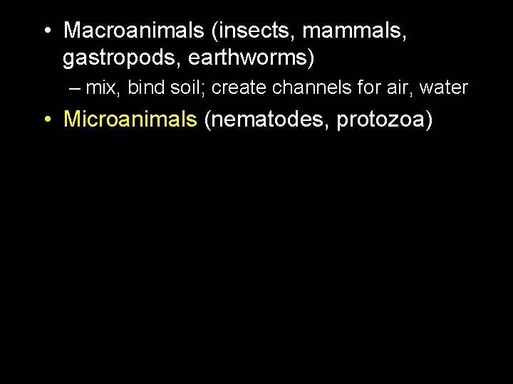  • Macroanimals (insects, mammals, gastropods, earthworms) – mix, bind soil; create channels for