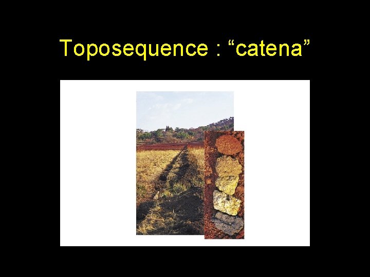 Toposequence : “catena” 