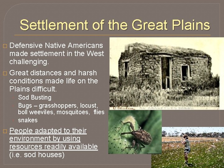 Settlement of the Great Plains Defensive Native Americans made settlement in the West challenging.