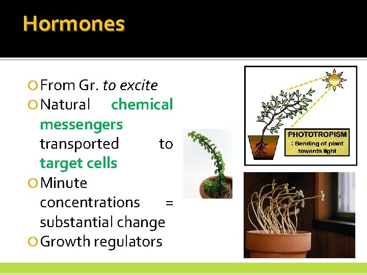 Hormones From Gr. to excite Natural chemical messengers transported to target cells Minute concentrations