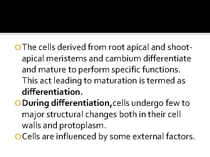 Differentiation The cells derived from root apical and shoot- apical meristems and cambium differentiate