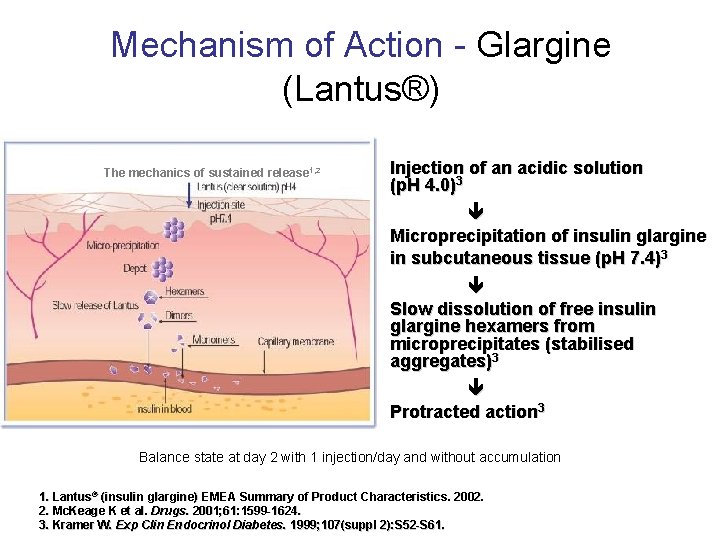 Mechanism of Action - Glargine (Lantus®) The mechanics of sustained release 1, 2 Injection