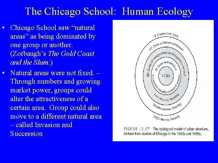 The Chicago School: Human Ecology • Chicago School saw “natural areas” as being dominated