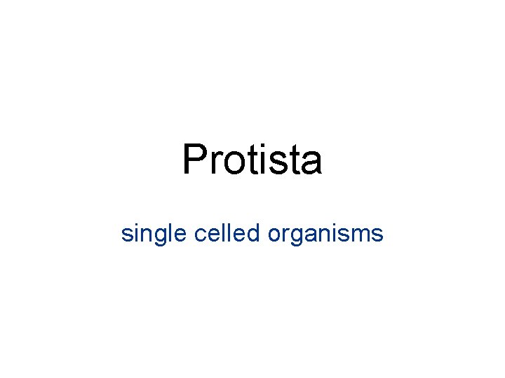 Protista single celled organisms 