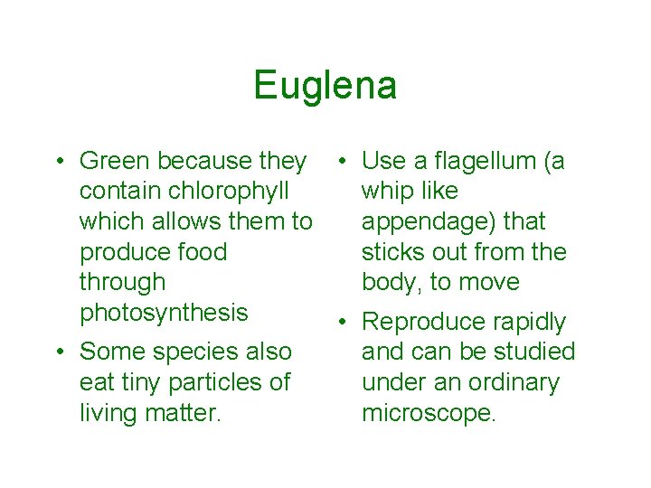 Euglena • Green because they • Use a flagellum (a contain chlorophyll whip like