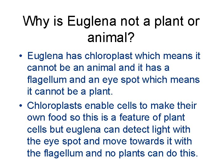 Why is Euglena not a plant or animal? • Euglena has chloroplast which means