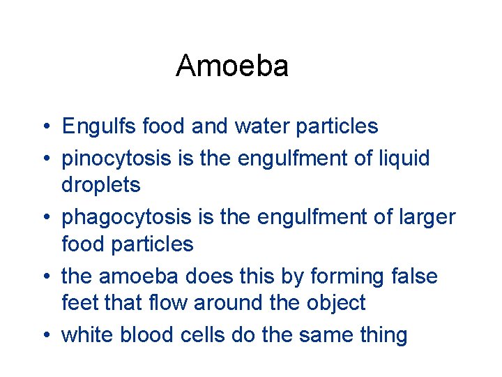 Amoeba • Engulfs food and water particles • pinocytosis is the engulfment of liquid