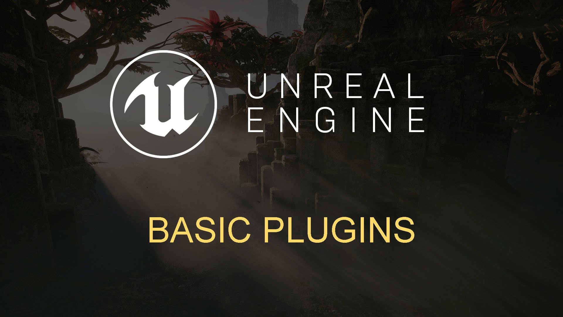 BASIC PLUGINS 