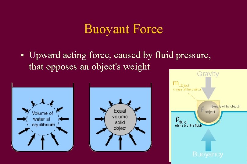 Buoyant Force • Upward acting force, caused by fluid pressure, that opposes an object's