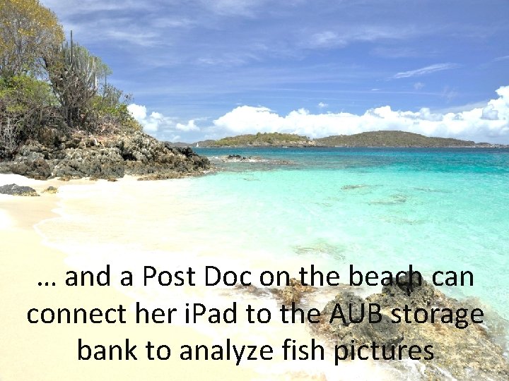 … and a Post Doc on the beach can connect her i. Pad to