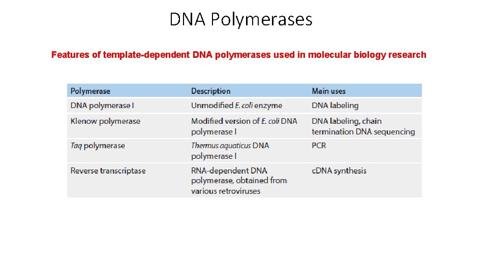 DNA Polymerases Features of template-dependent DNA polymerases used in molecular biology research 