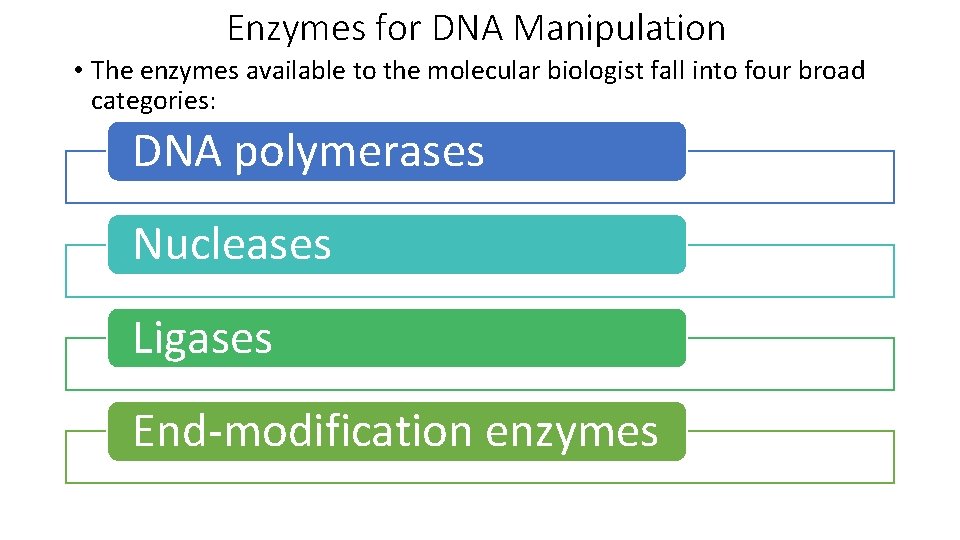 Enzymes for DNA Manipulation • The enzymes available to the molecular biologist fall into