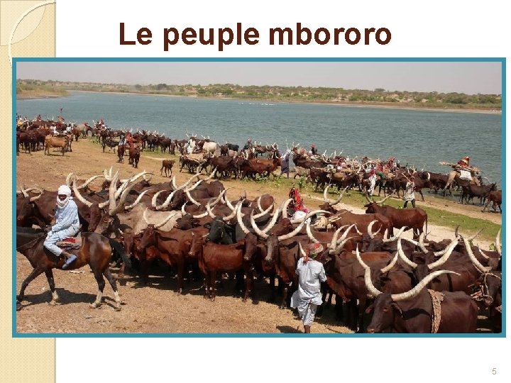 Le peuple mbororo 5 