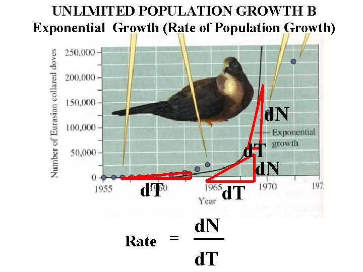 UNLIMITED POPULATION GROWTH B Exponential Growth (Rate of Population Growth) d. N d. T