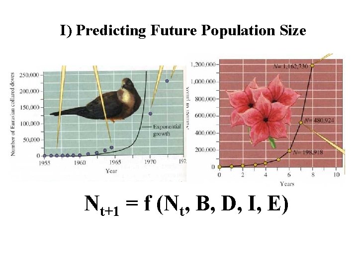 I) Predicting Future Population Size Nt+1 = f (Nt, B, D, I, E) 