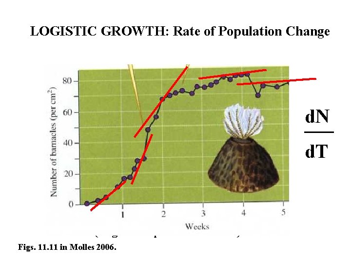 LOGISTIC GROWTH: Rate of Population Change d. N ___ d. T (Logistic Population Growth)