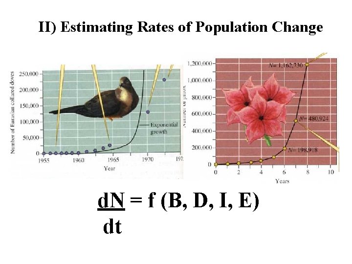 II) Estimating Rates of Population Change d. N = f (B, D, I, E)