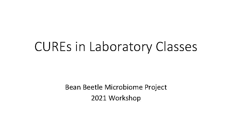 CUREs in Laboratory Classes Bean Beetle Microbiome Project 2021 Workshop 