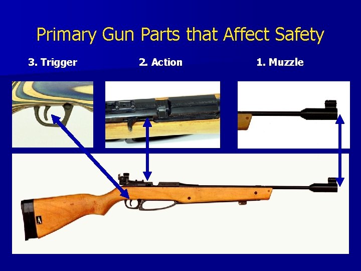 Primary Gun Parts that Affect Safety 3. Trigger 2. Action 1. Muzzle Primary Gun Parts that Affect Safety 3. Trigger 2. Action 1. Muzzle