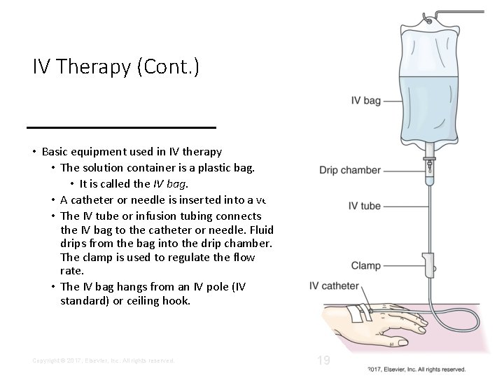 IV Therapy (Cont. ) • Basic equipment used in IV therapy • The solution