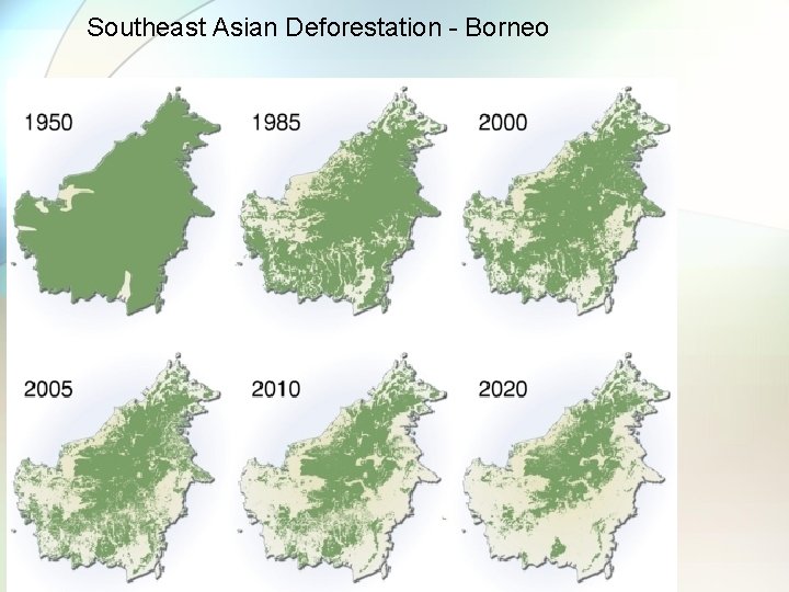 Southeast Asian Deforestation - Borneo 