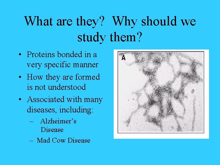 What are they? Why should we study them? • Proteins bonded in a very