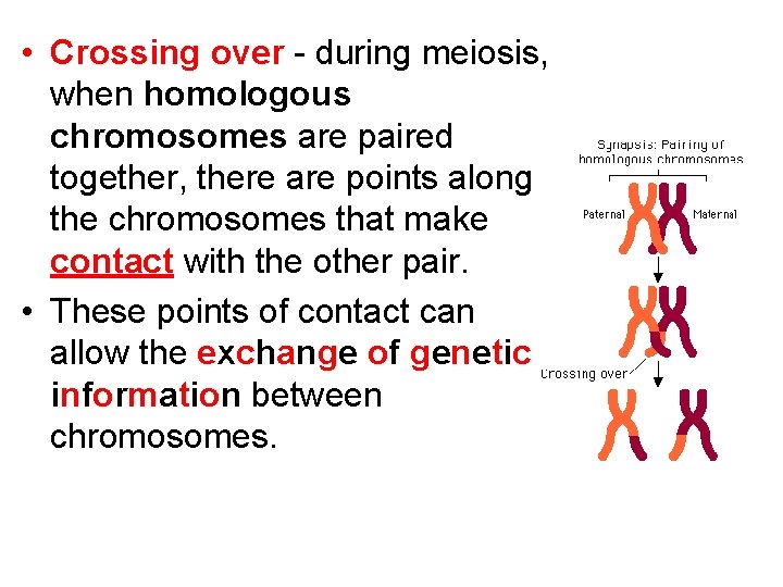  • Crossing over - during meiosis, when homologous chromosomes are paired together, there