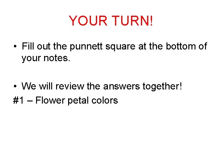 YOUR TURN! • Fill out the punnett square at the bottom of your notes.