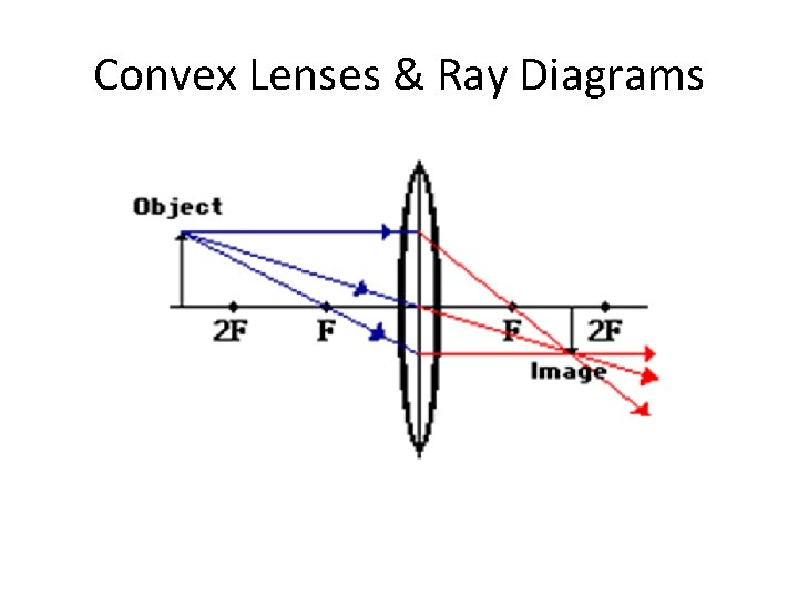 Convex Lenses & Ray Diagrams 